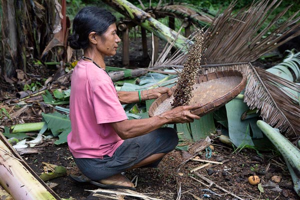 Flores Natural - Culture and Komodo Dragon 10D/9N Flores Natural - Culture and Komodo Dragon 10D/9N