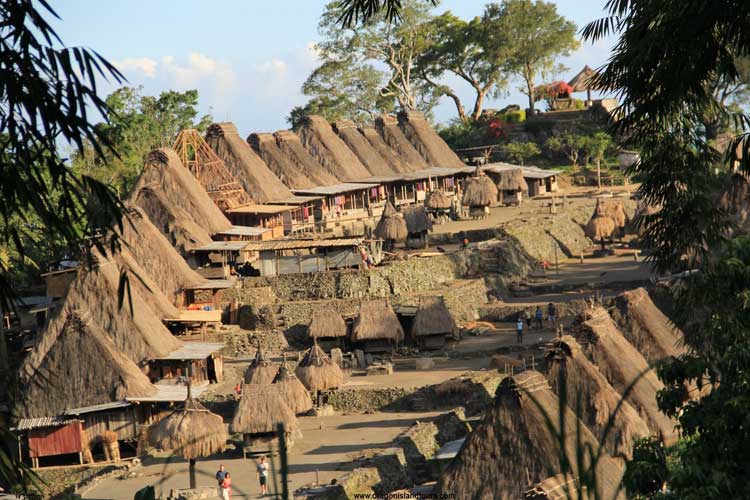 Bena Traditional Village