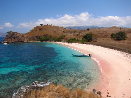 Komodo Liveaboard 4D3N Komodo Liveaboard 4D3N