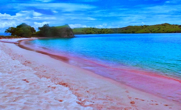 Pink Beach Komodo