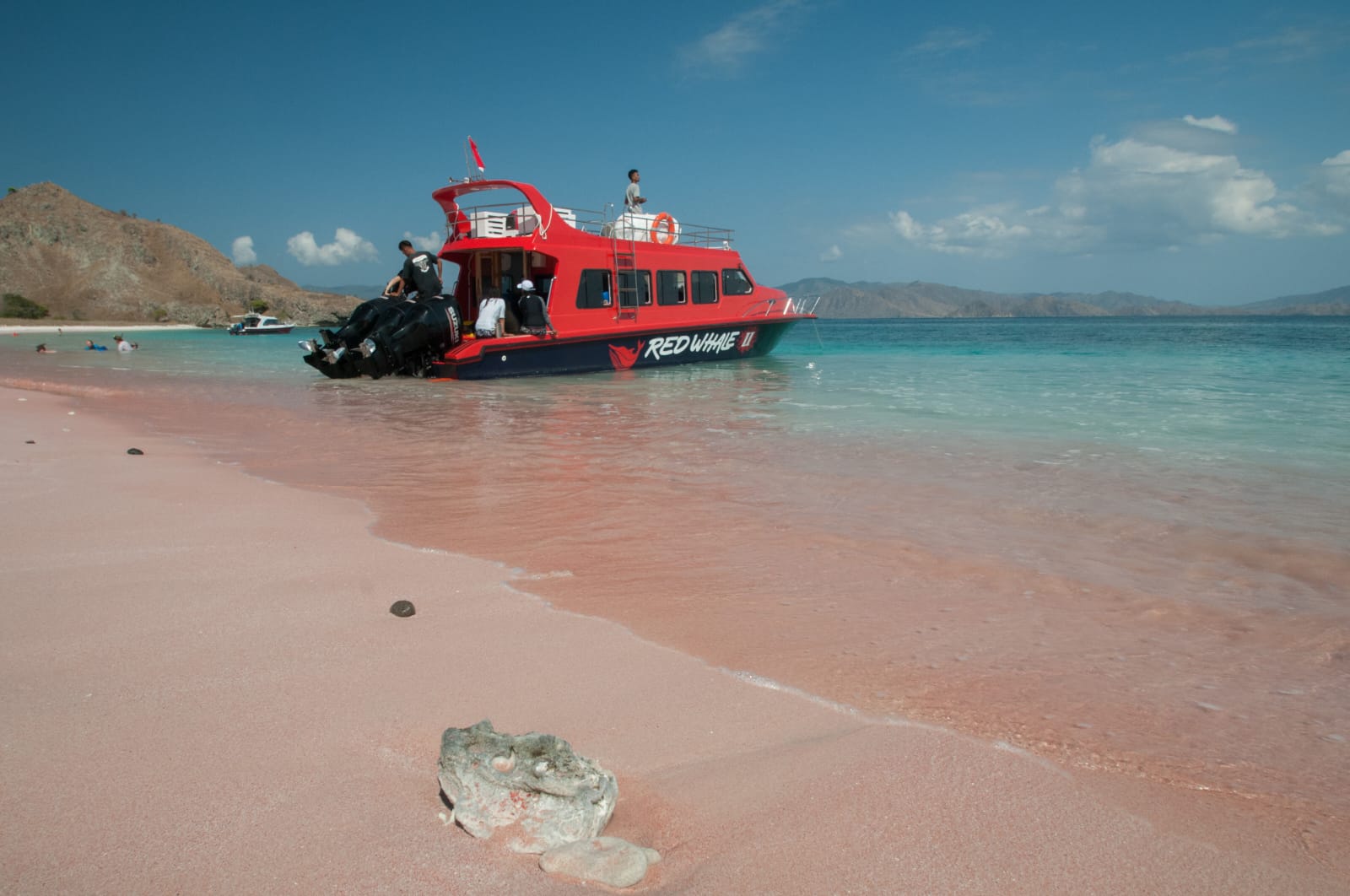 Komodo Day Private Tour Komodo Day Private Tour