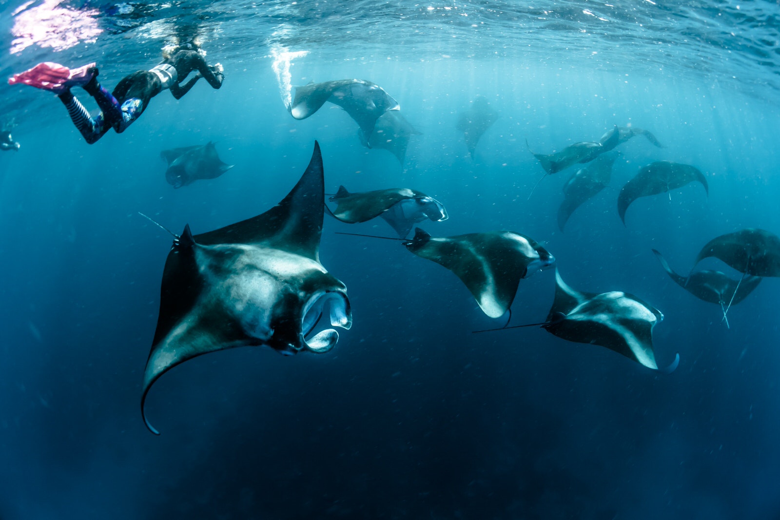 Komodo Shared Trip 2D1N Komodo Shared Trip 2D1N